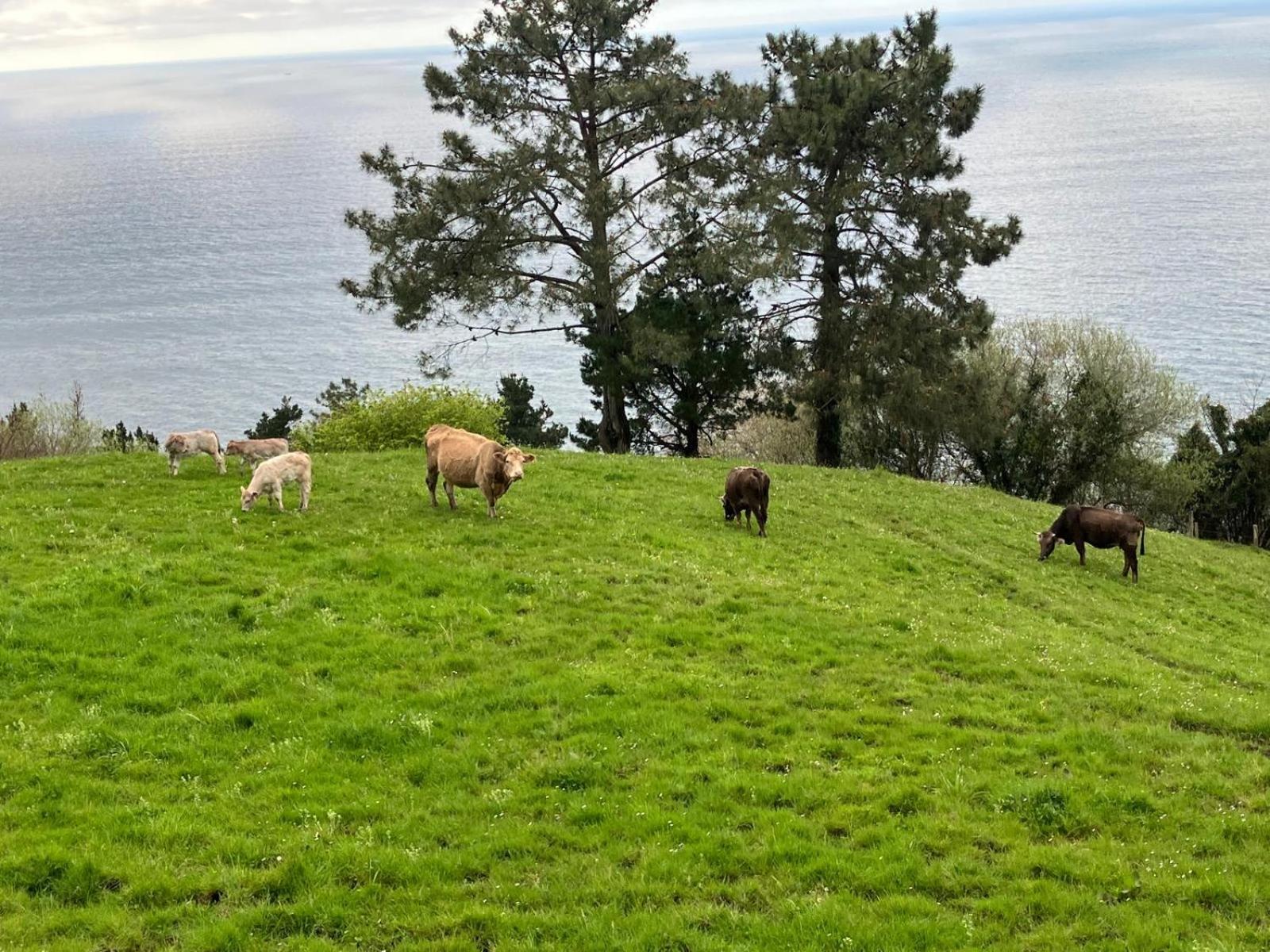 Agroturismo Itxaspe Orio Buitenkant foto
